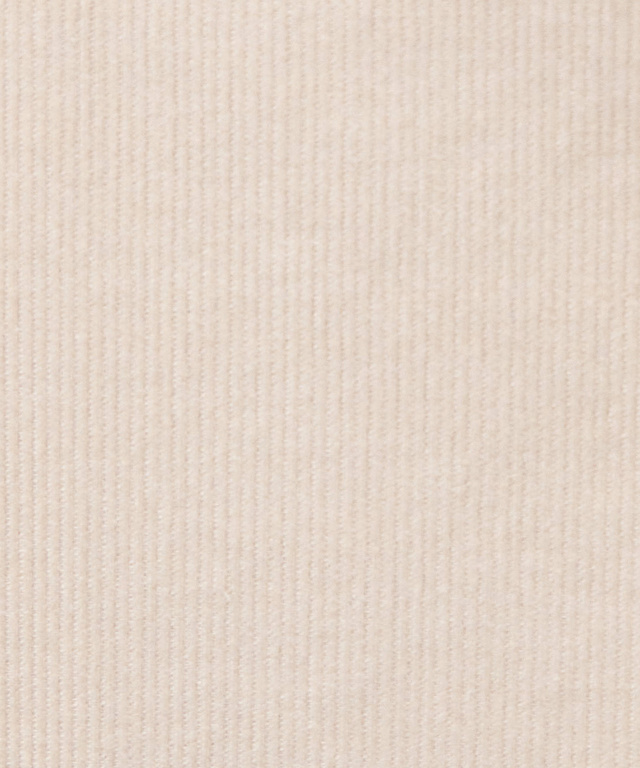 スキッパー デザイン ブラウス