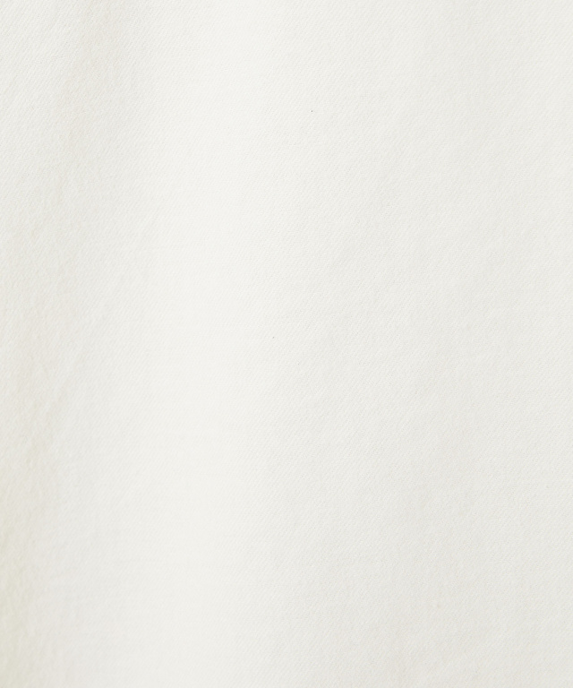 刺繍フリルデザイン 長袖 ブラウス