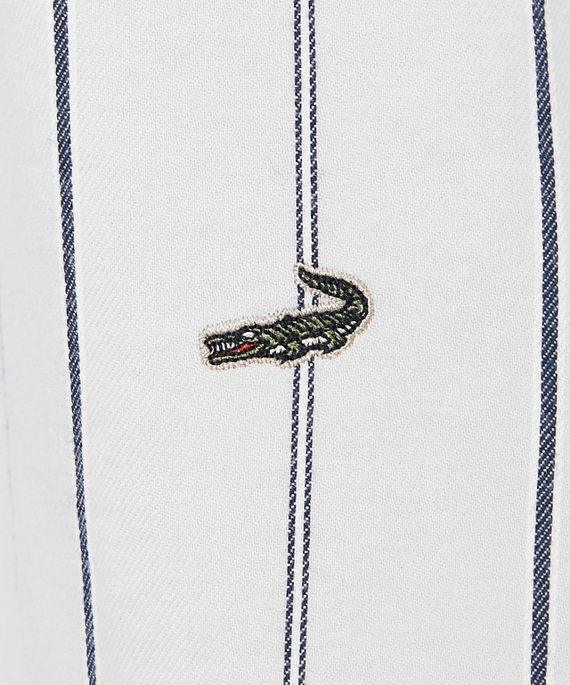 バンドカラー ストライプ ブラウス【一部店舗限定】