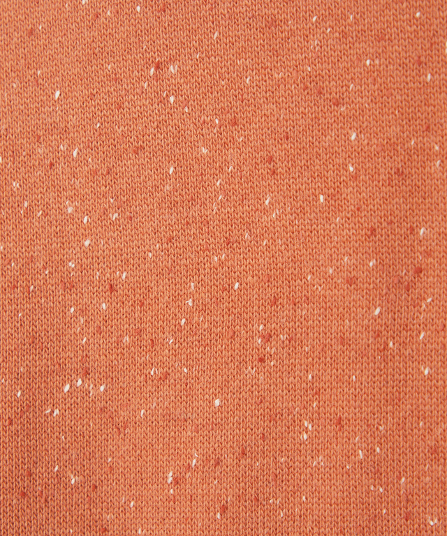 裏起毛 カラーネップ プルオーバー