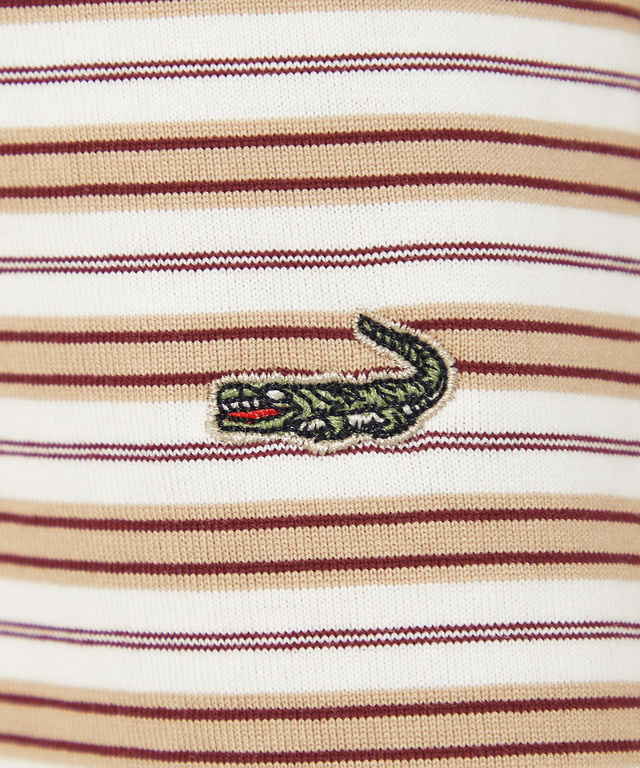 コットン マルチボーダー Tシャツ