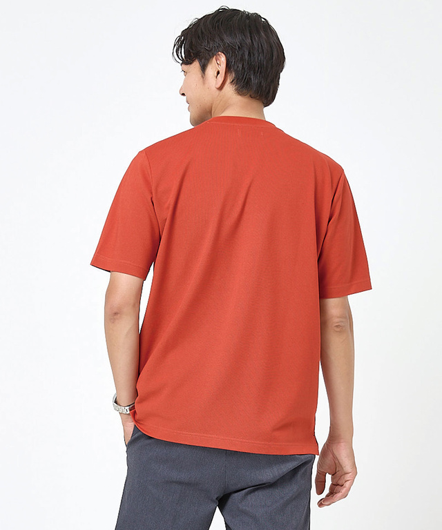 鹿の子 襟デザイン Tシャツ
