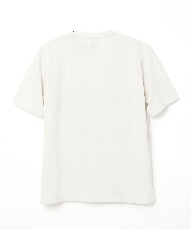 鹿の子 襟デザイン Tシャツ