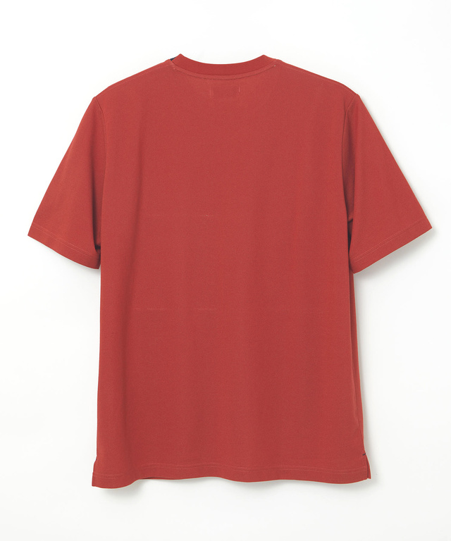 鹿の子 襟デザイン Tシャツ