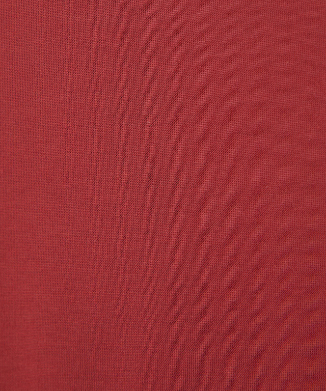 UK モチーフプリント Tシャツ