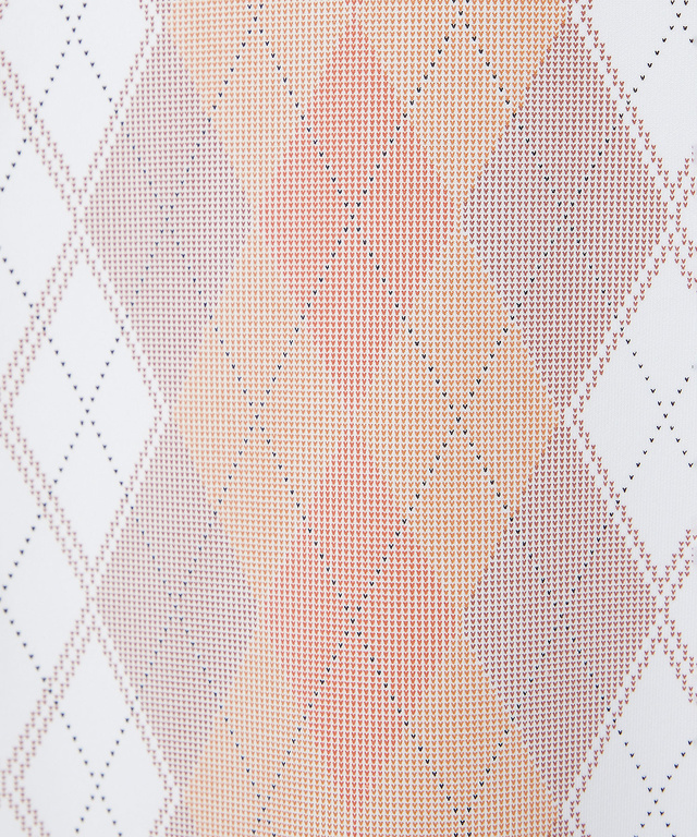 裏起毛 アーガイル ハイネックカットソー